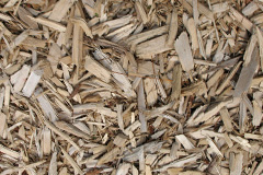 biomass boilers Druimarbin